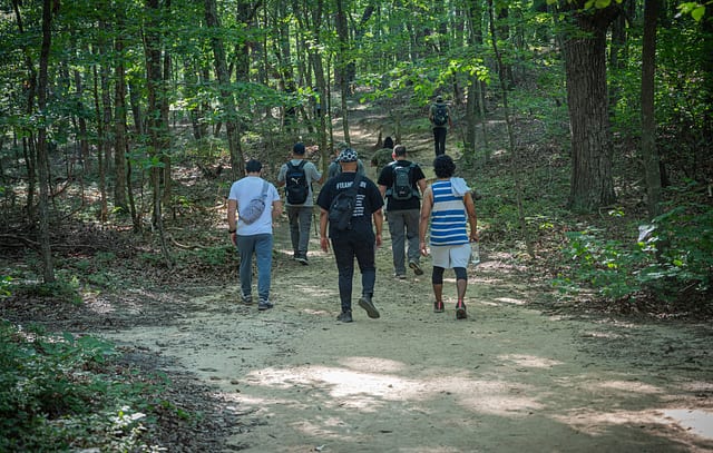 Sawnee Mountain Preserve - Indian Seats Trail — photo 3